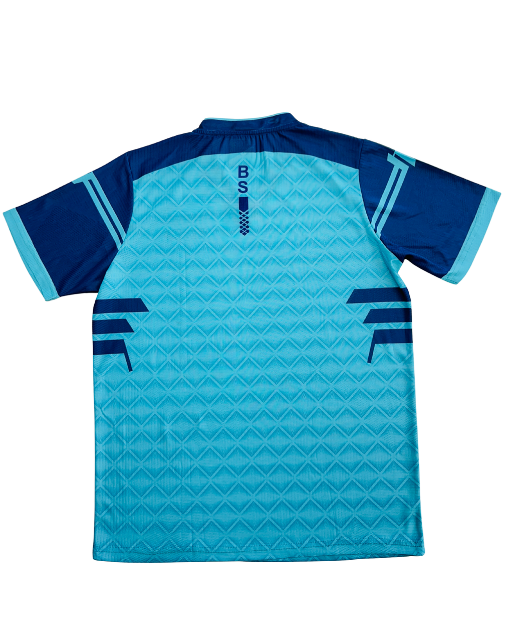 BS Sports IceStrike V-Neck T-Shirt