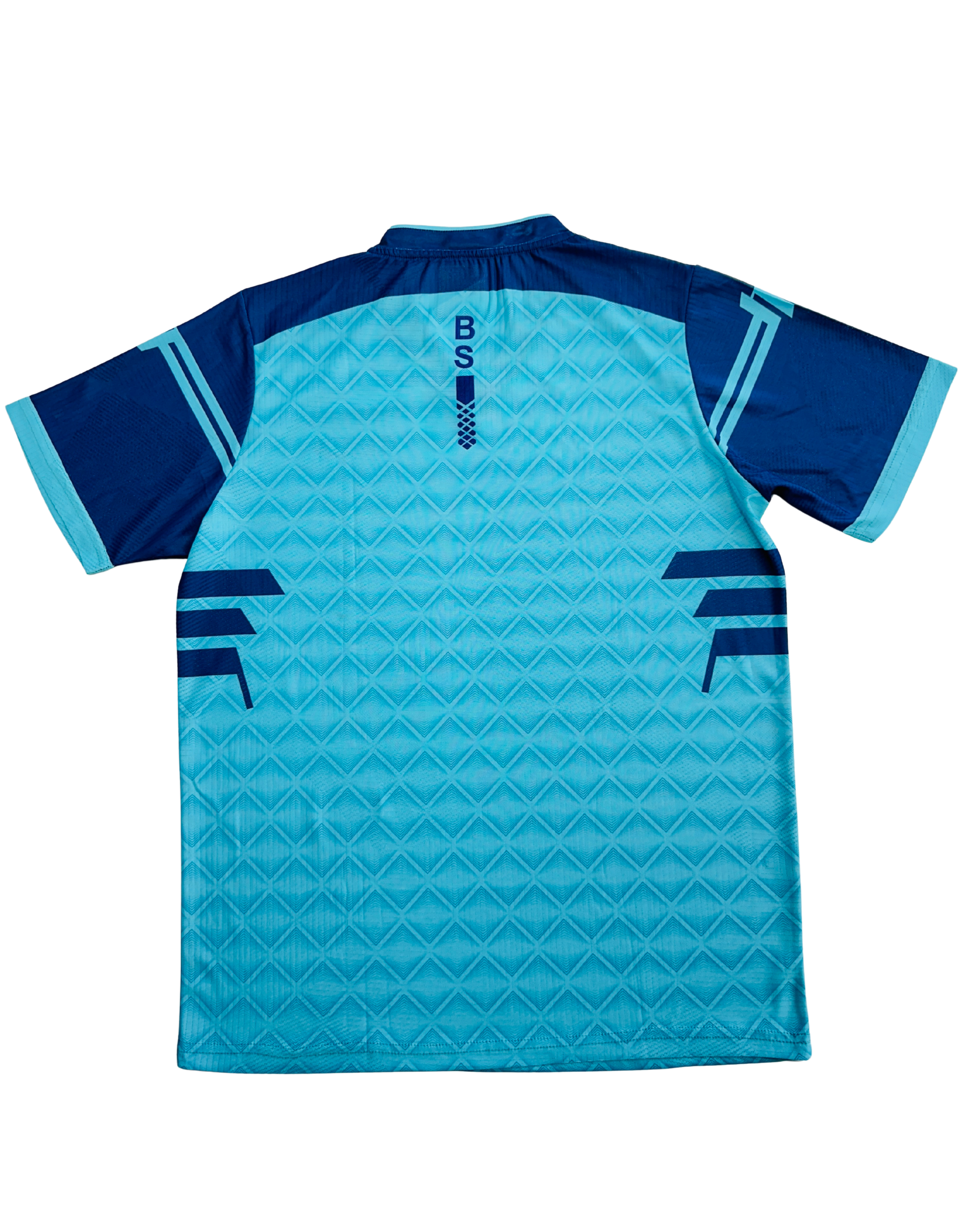 BS Sports IceStrike V-Neck T-Shirt