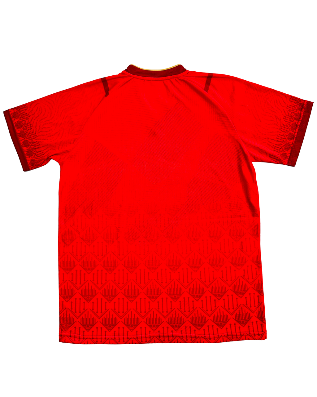 BS Sports RedStrike V-Neck T-Shirt