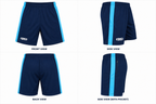 BS Sports Premium Training Shorts