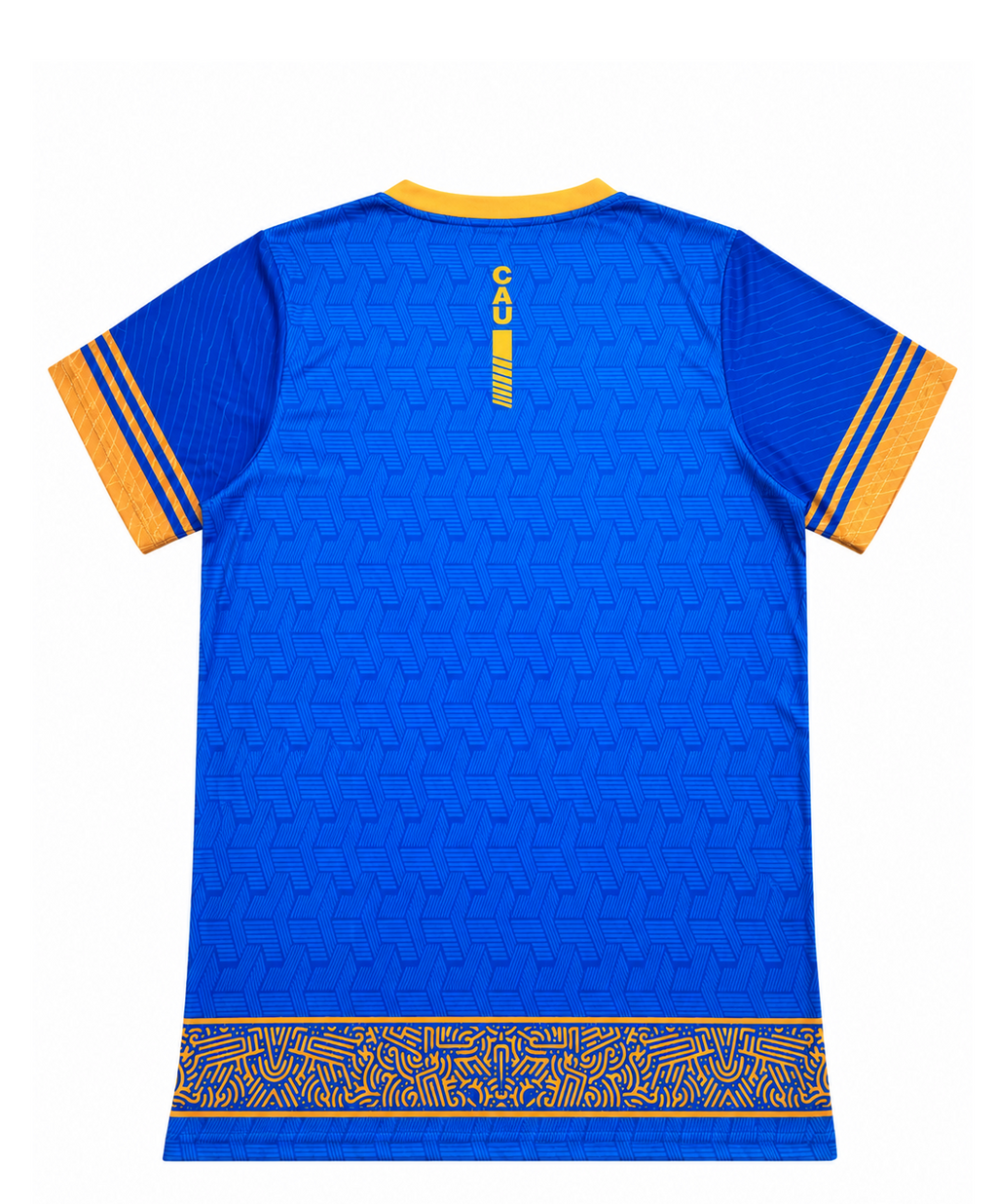 BS Sports BlueDynasty Performance T-Shirt (UttaraKhand)